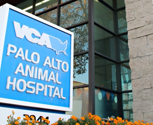 VCA Palo Alto Animal Hospital